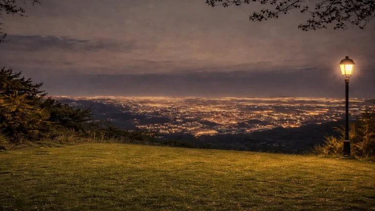 EL MIRADOR