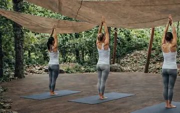 JARDÍN DE BALANCE